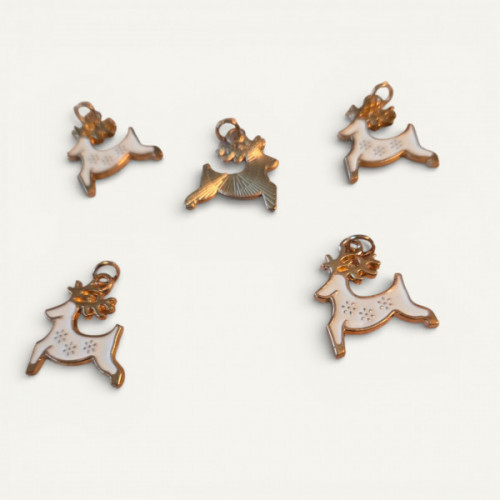 IMG_20260207_015144 (1) (3).jpg